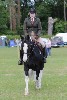 thornton-le-dale-gala showclass7acharity25-5-20149